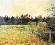 Camille Pissarro Cattle Sweden oil painting artist